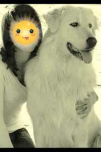 20993043_1867493563277346_4100981676720315374_n