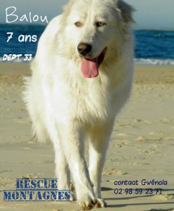 20994108_1867493513277351_7304968591623418878_n