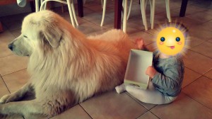 21077599_1867493446610691_3494206441090411276_n