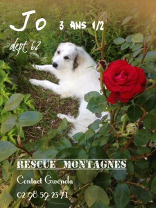 21272114_1878790425480993_3022648543941841236_n