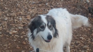 26063327_2006771796016188_7581918100570582713_o