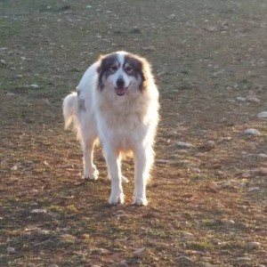 26167394_2006771746016193_1922309456691121539_n