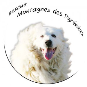 logo_accueil_boutique