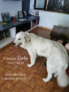 lorka1